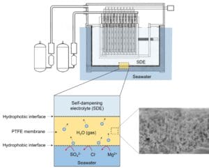 The in-situ seawater purification process in direct seawater electrolysis system
