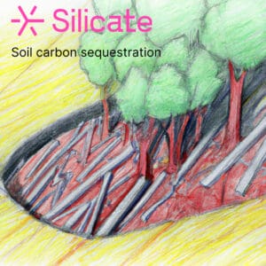 Silicate Carbon feature