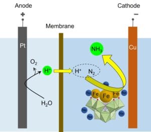 Process of ammonia synthesis via electrochemical reduction of nitrogen with the polyoxometalate catalyst (ref. JACS paper).