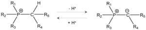 The reversible deprotonation of the alkyl phosphonium cation (ref. WO2022256858A1).