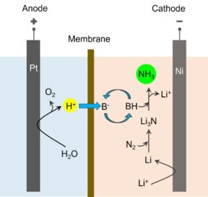 Working mechanism of Li-mediated electrochemical NH₃ synthesis reaction.