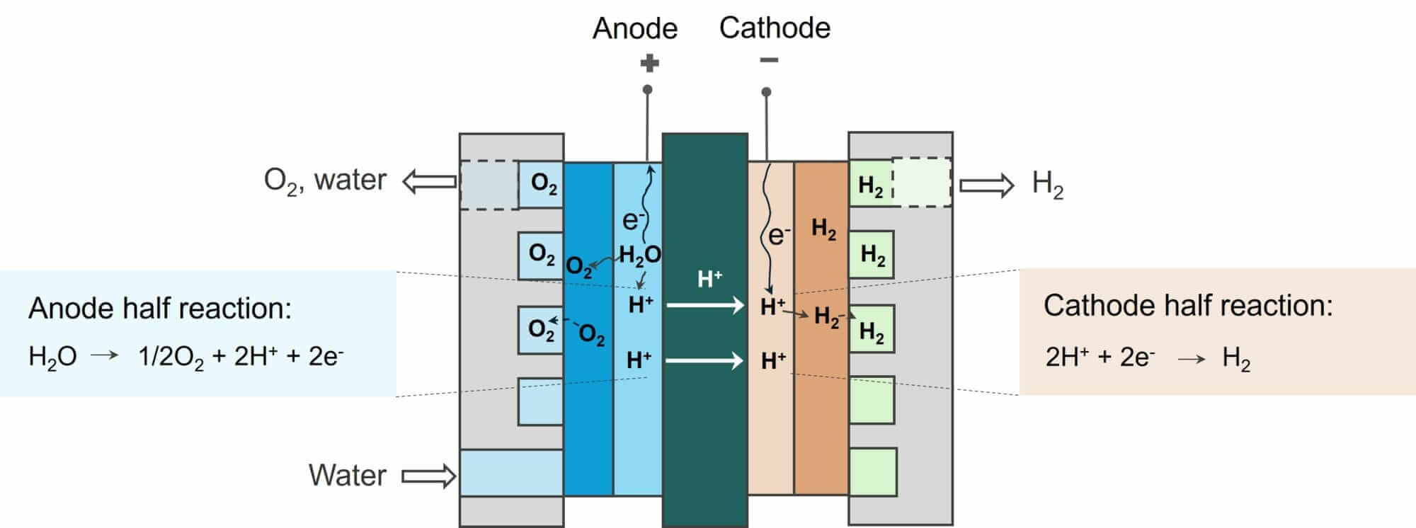 How Ohmium PEM electrolyzer cell produces hydrogen.