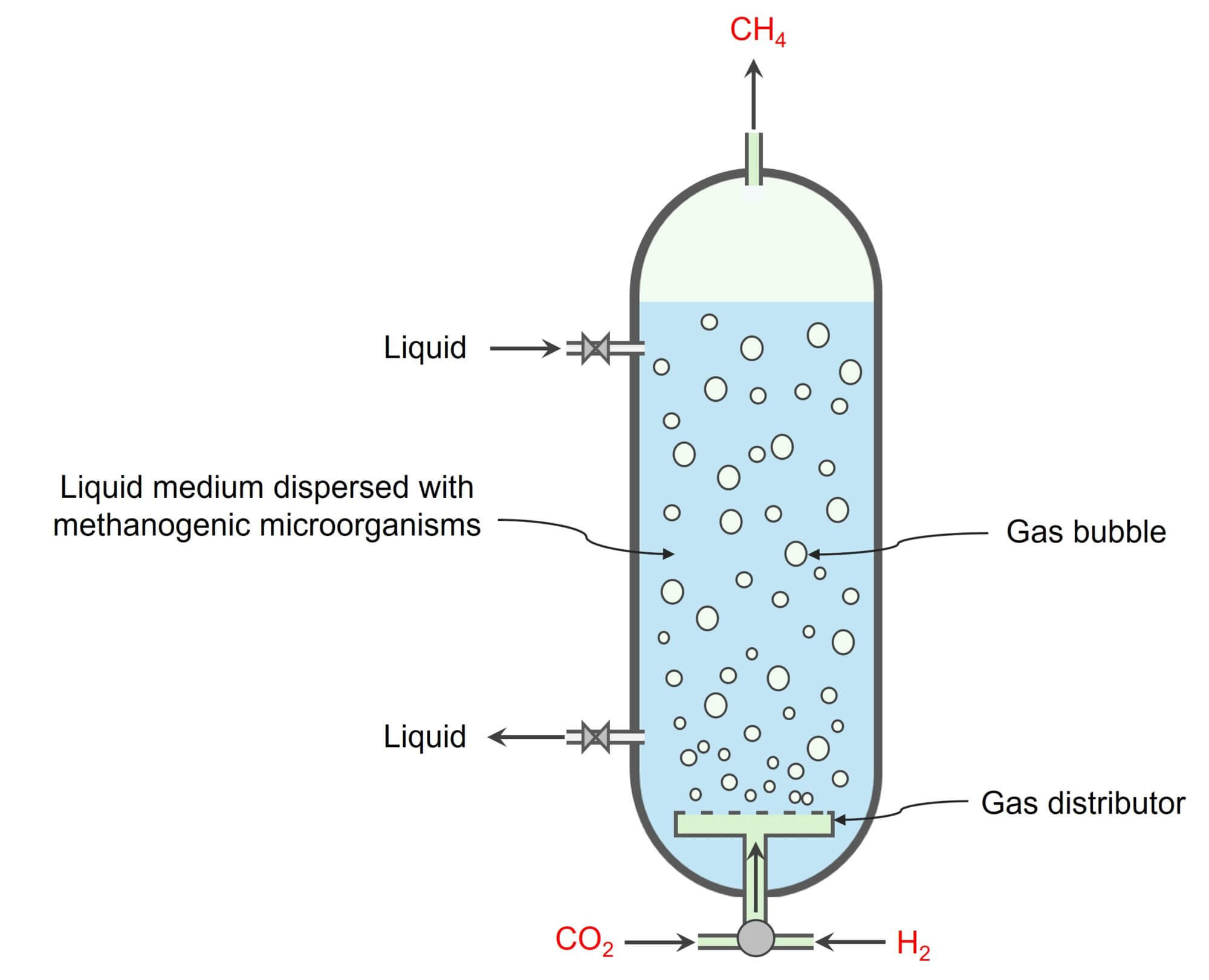 Bubble column bioreactor for biomethanation.