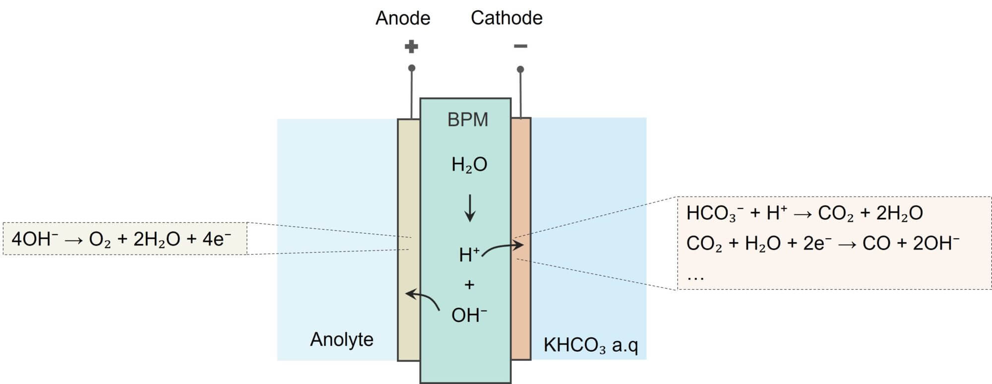 Electrochemical reactions in bicarbonate electrolyzer.
