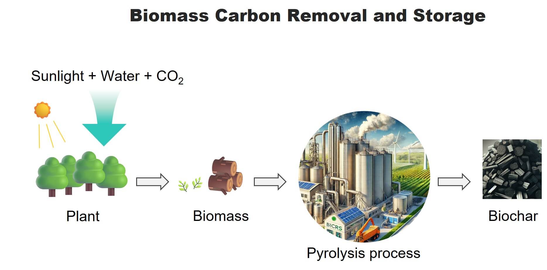 Biomass Carbon Removal and Storage